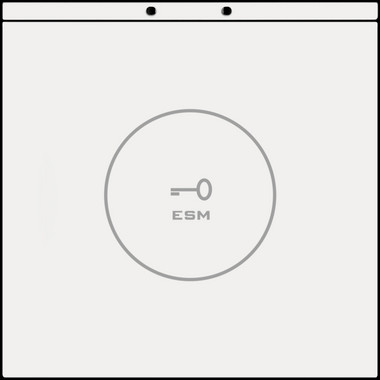 ESM